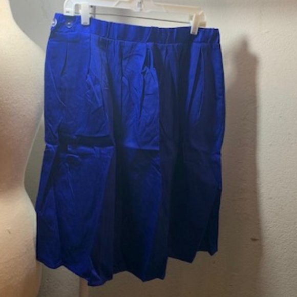 Taydey Women's Royal Blue A-Line Pleated Side Zip, Button Midi Skirt XL NWT - Picture 2 of 8